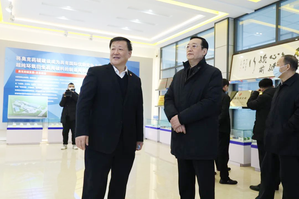 朱建民接待辽宁省政协副主席王明玉到008PG国际调研.png